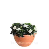 Горщик для квітів, з підставкою, Ø 220, тип 11 (підвісний) 2,5 л Гемопласт